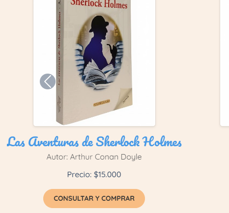 Captura de pantalla de un portafolio profesional